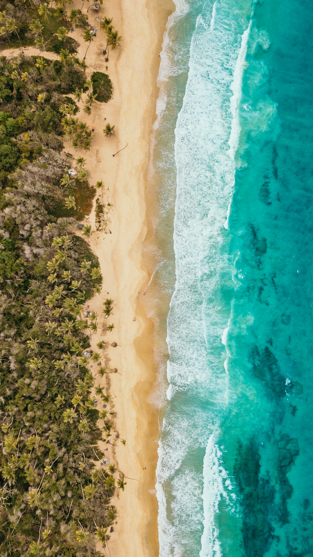 Veduta aerea della spiaggia blu e dell'isola