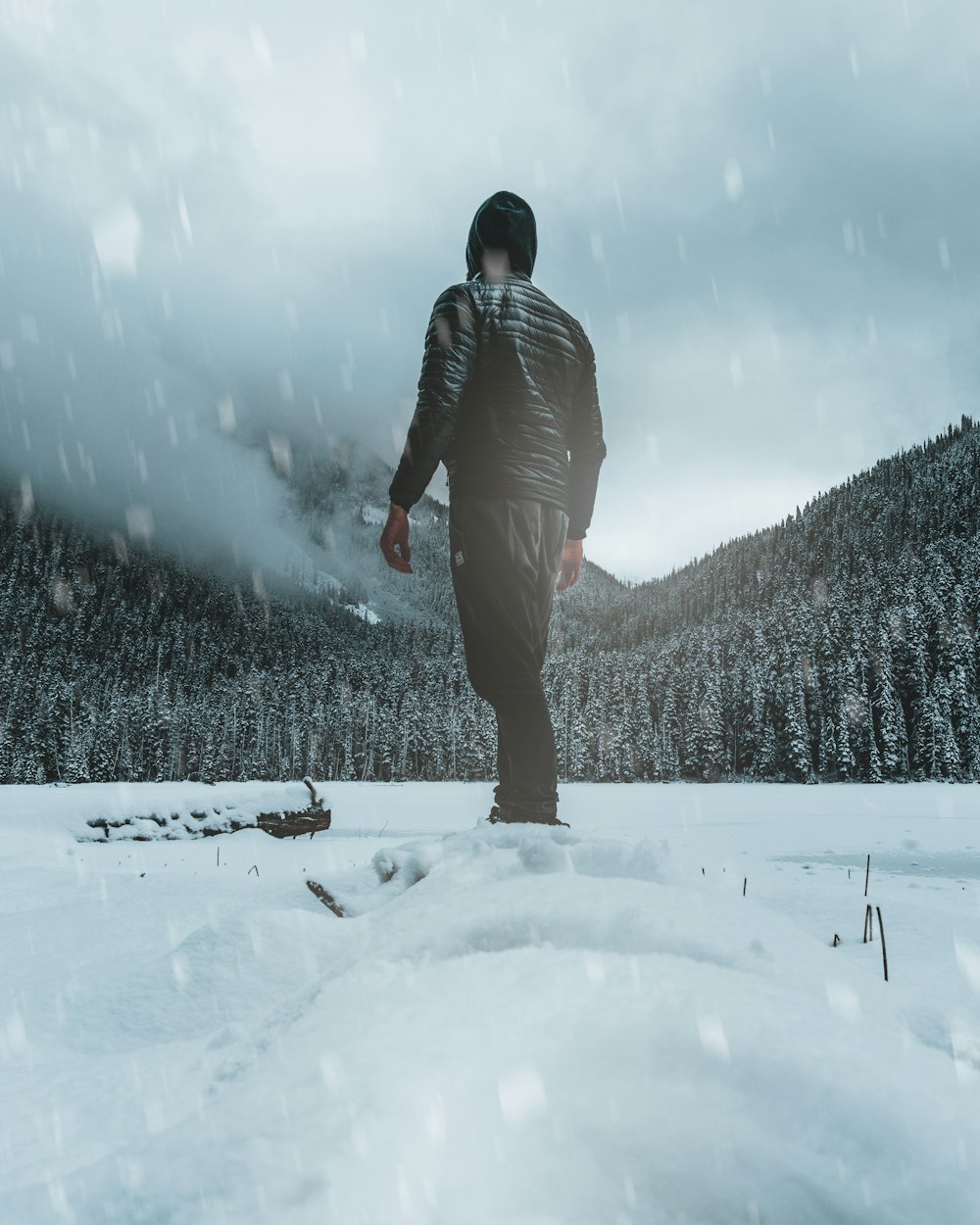 man standing on snowfield front of pine trees