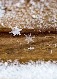 A close-up of delicate snowflakes resting on a pine branch, sparkling in the soft morning light.