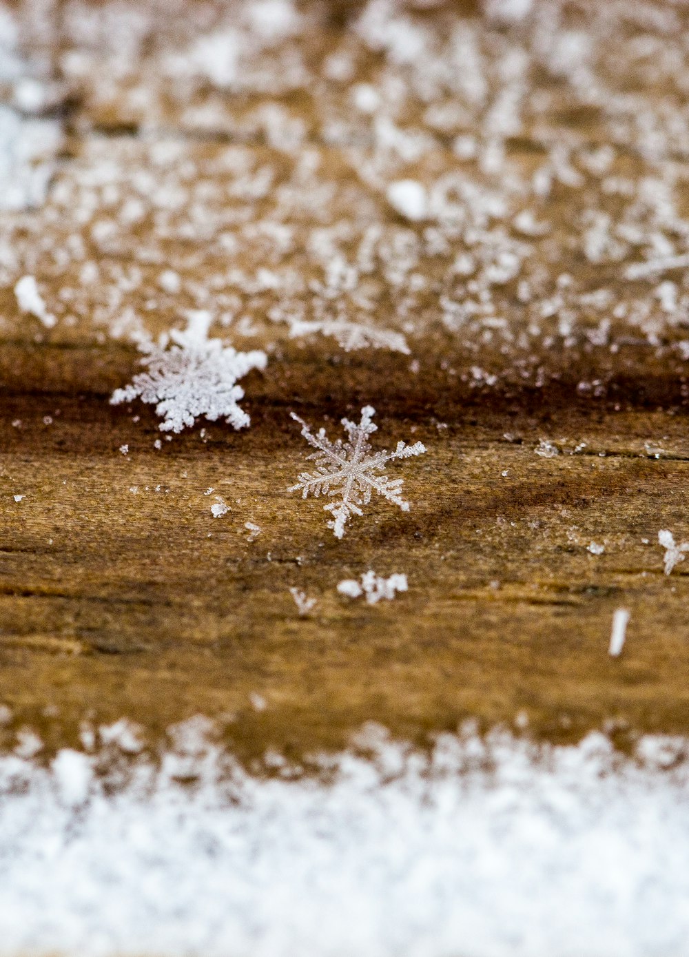 snowflakes on ground