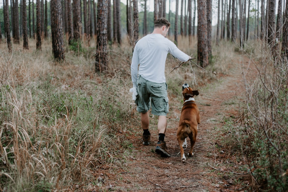 person standing near dog walking on pathway during daytime