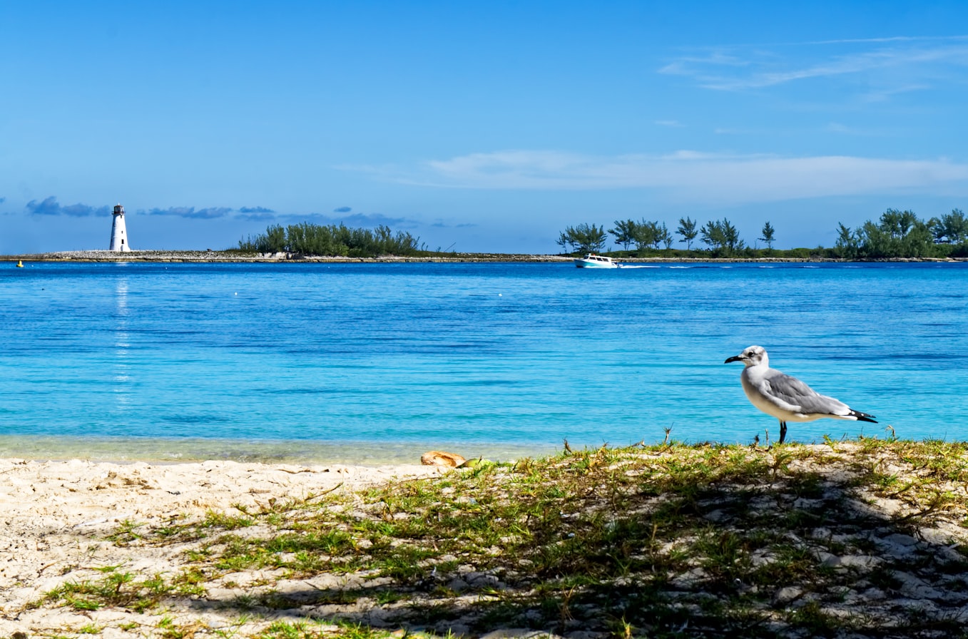 island accommodation