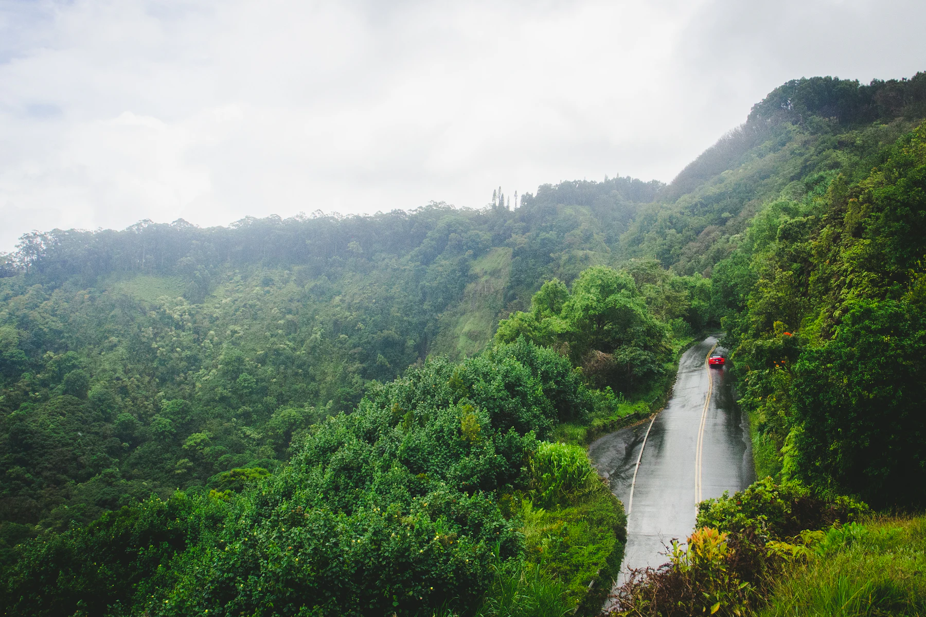 Rain-washed road between jungle trees on the way to Hana