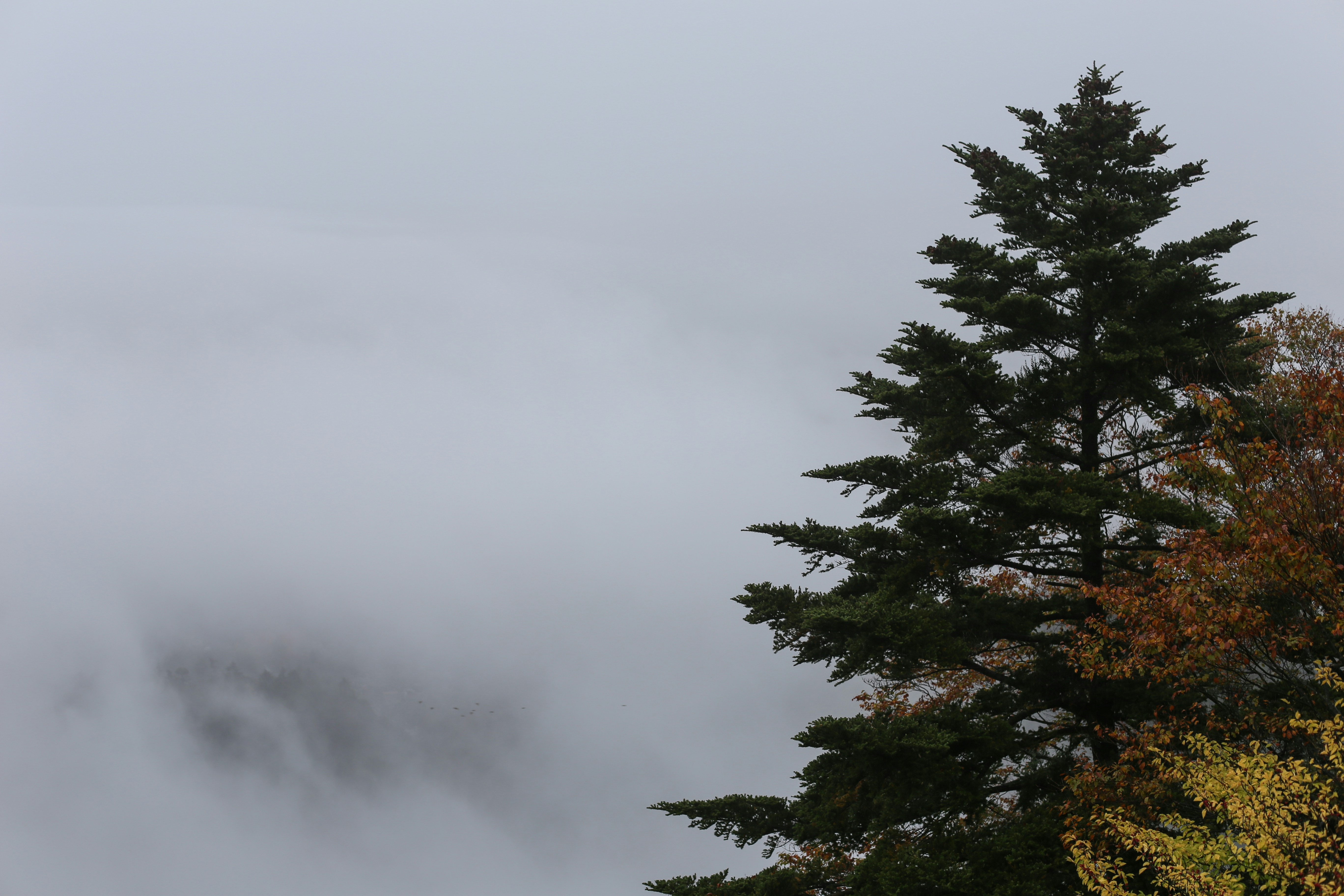 Photo by herrherrmann