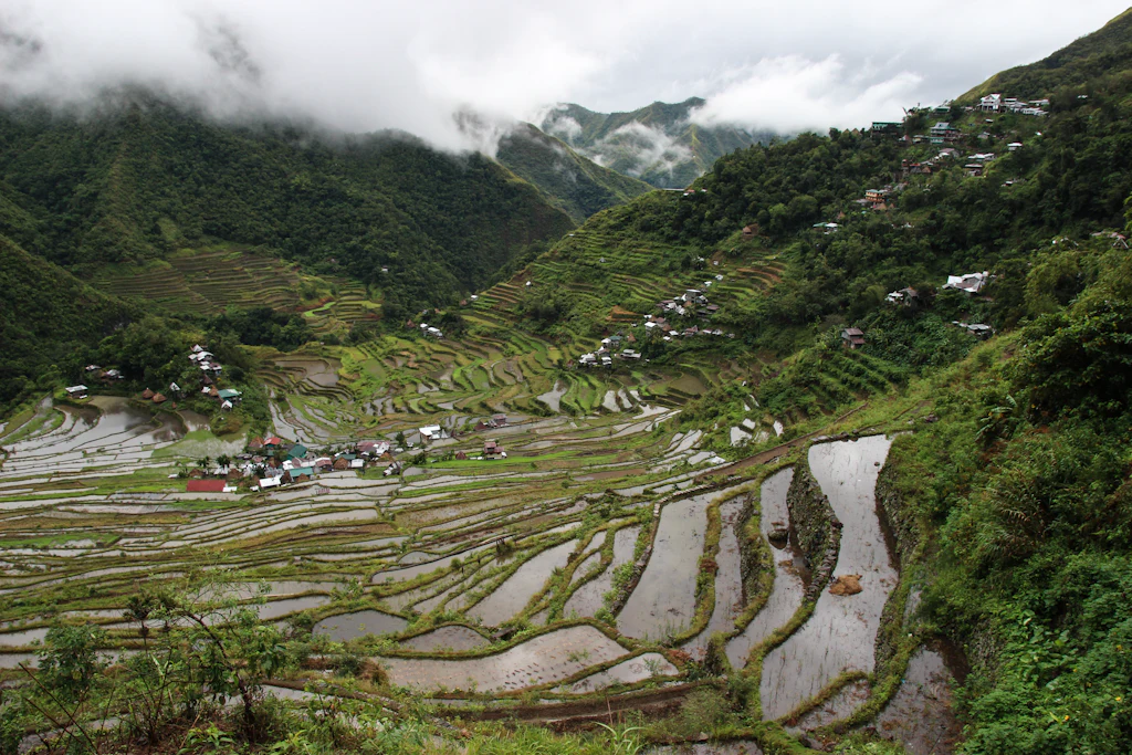 Water-filled rice terraces stepping around a mountain village under low cloud in the Cordillera