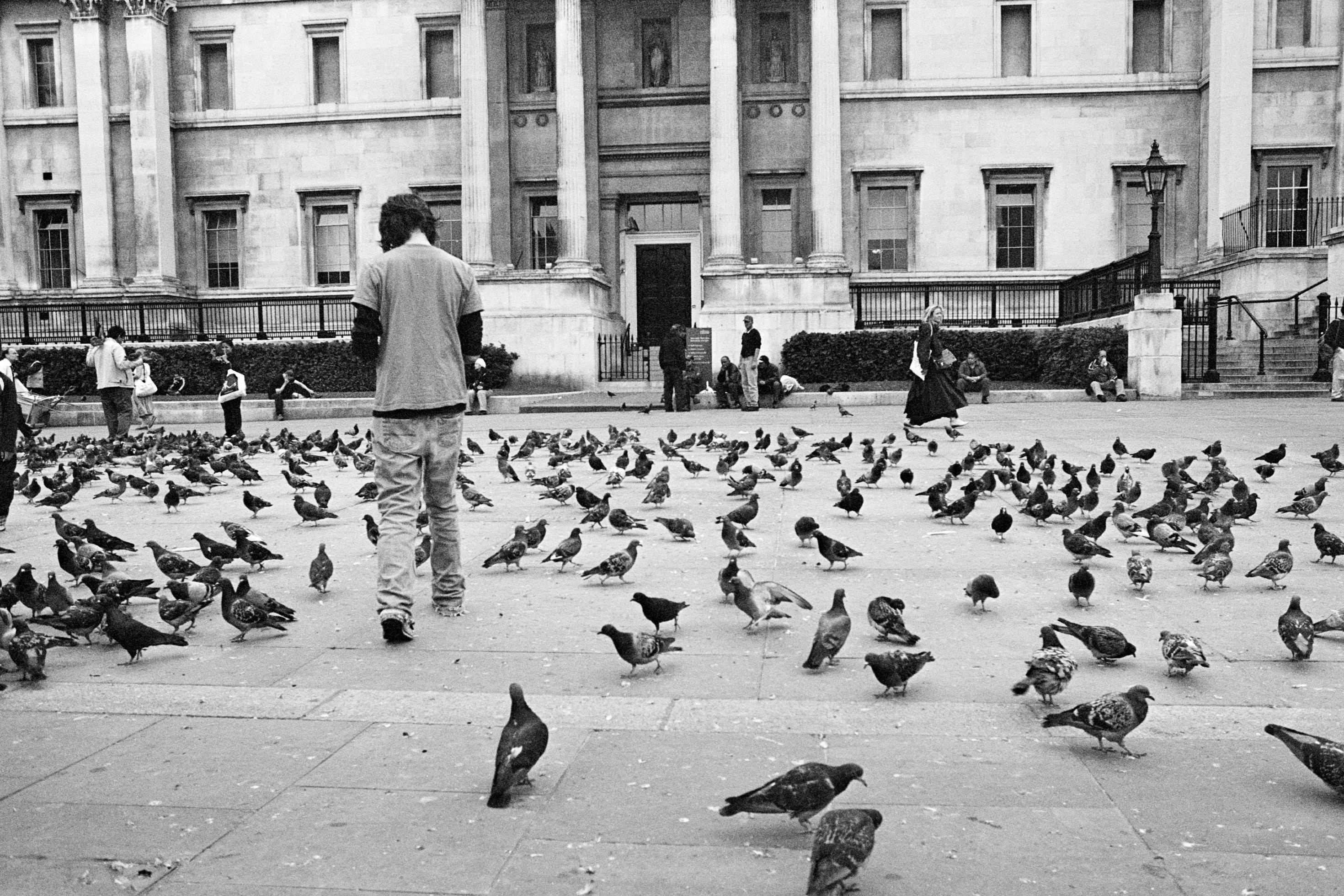 Agregar migas de pan a un blog con Genesis Framework