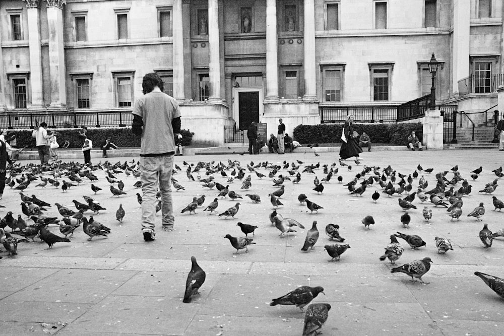 grayscale photo of man standing surrounded by pigeons