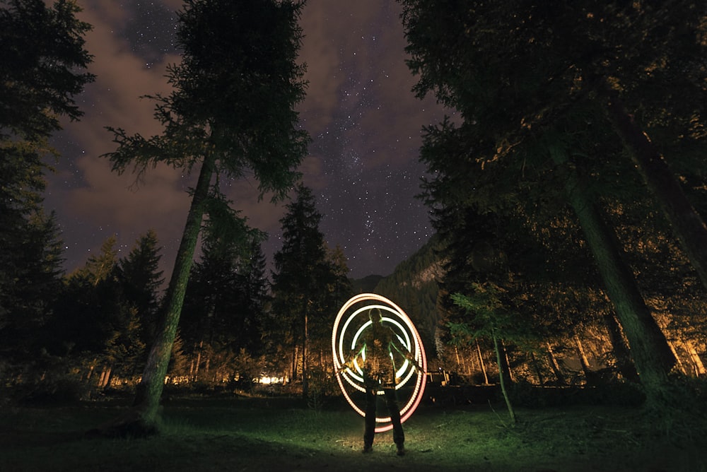 person standing between trees during nighttime