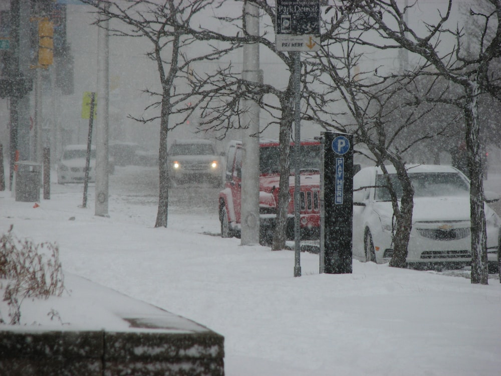 vehicles parked on road