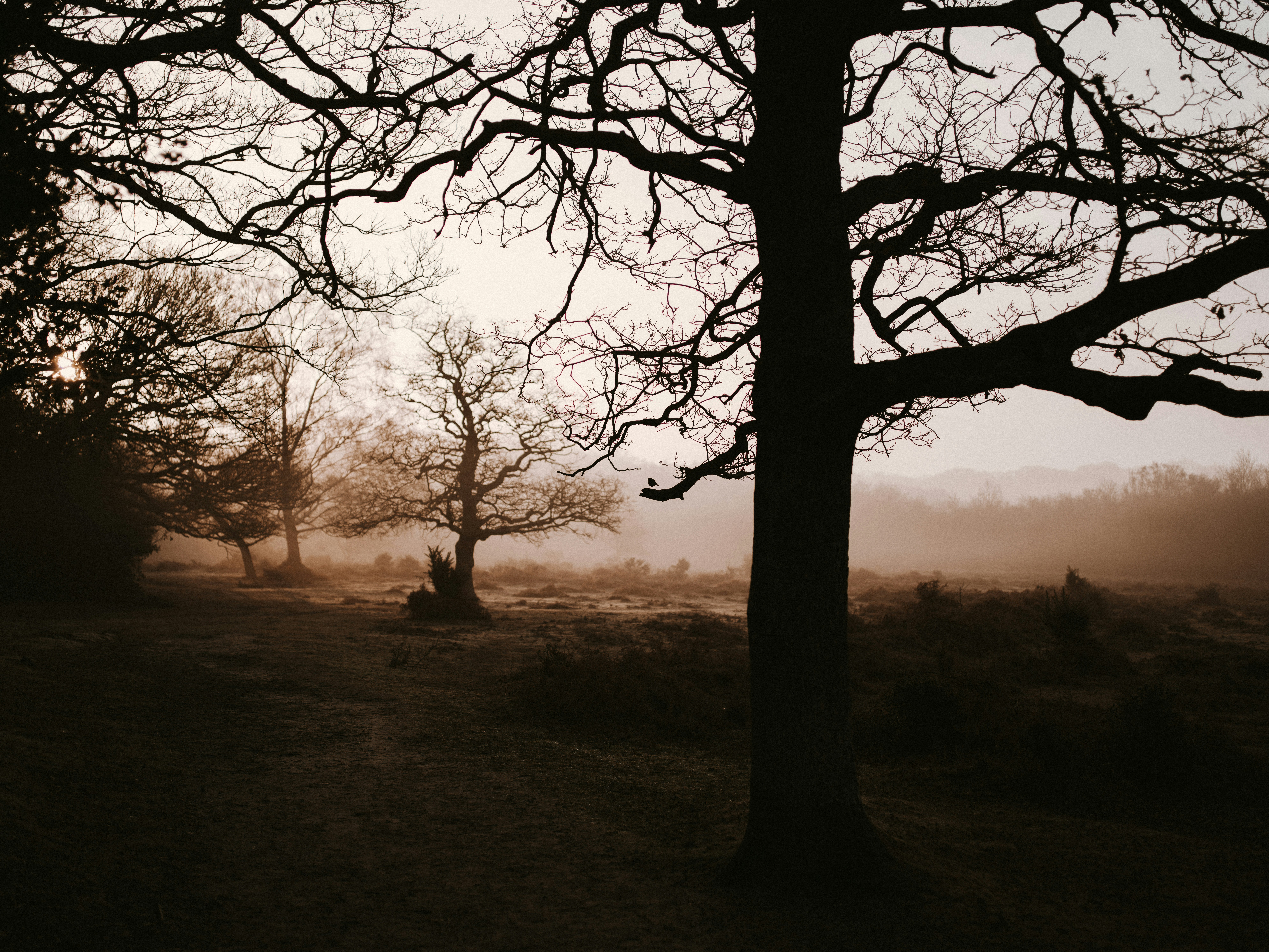 Photo by anniespratt