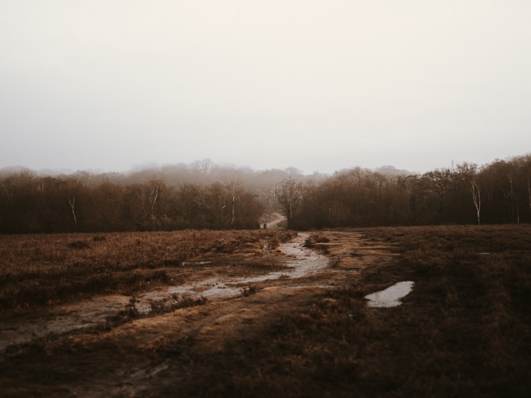 empty dirt road on daytime