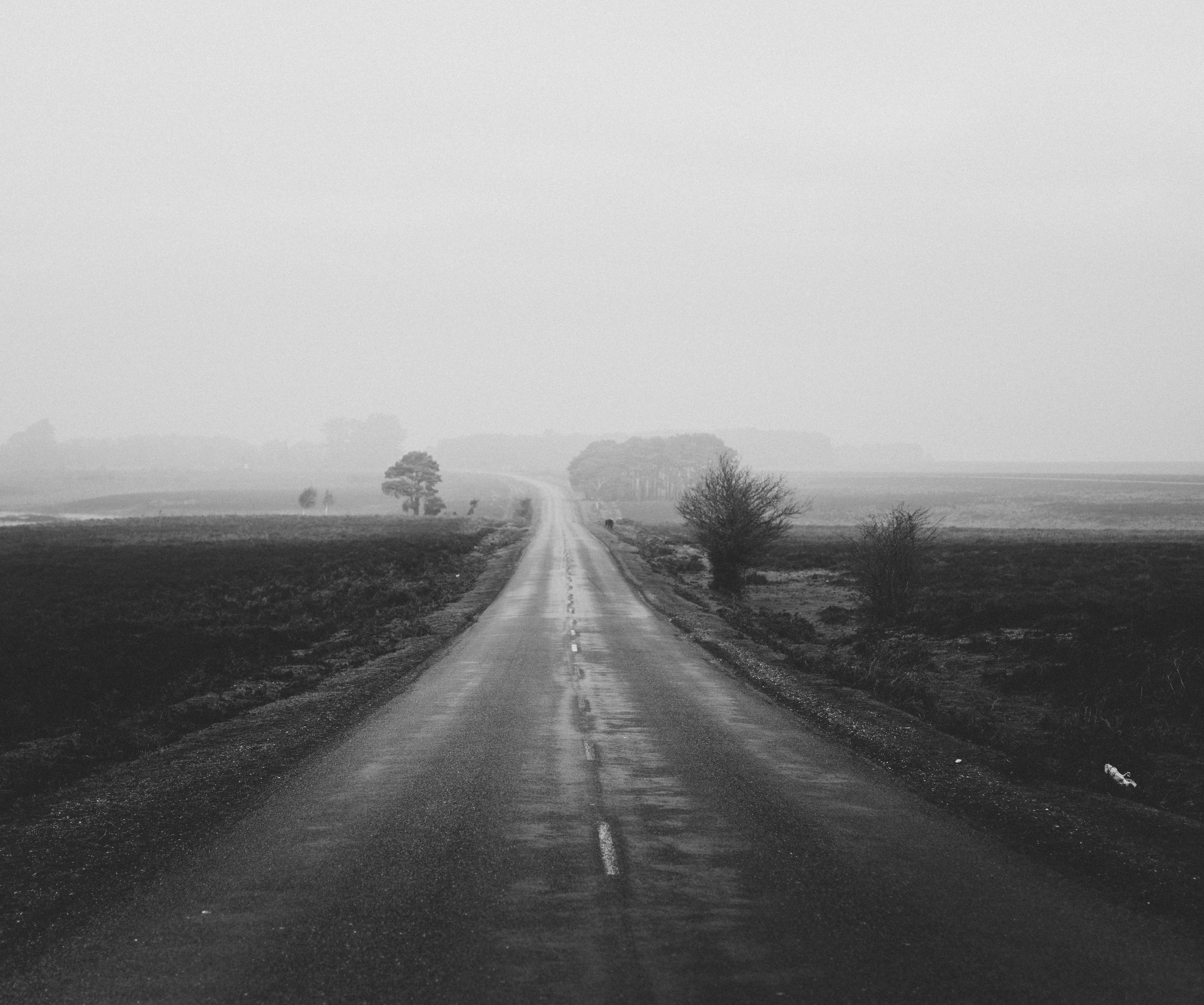 Photo by anniespratt