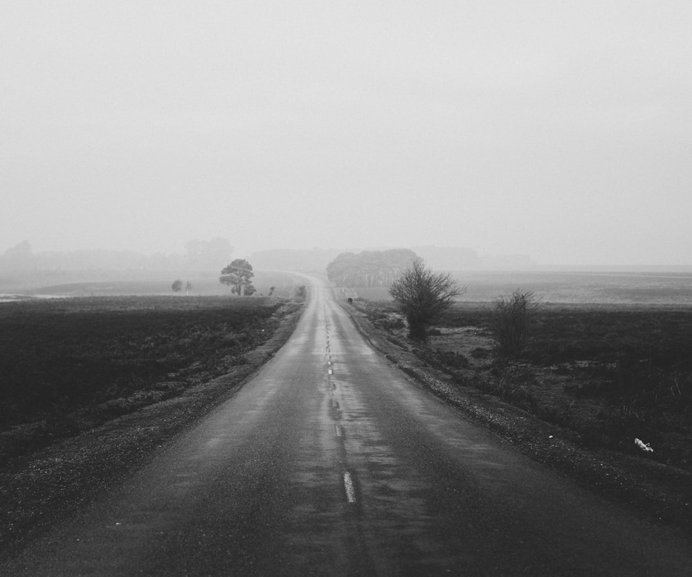 long straight road across plains under grey fogs