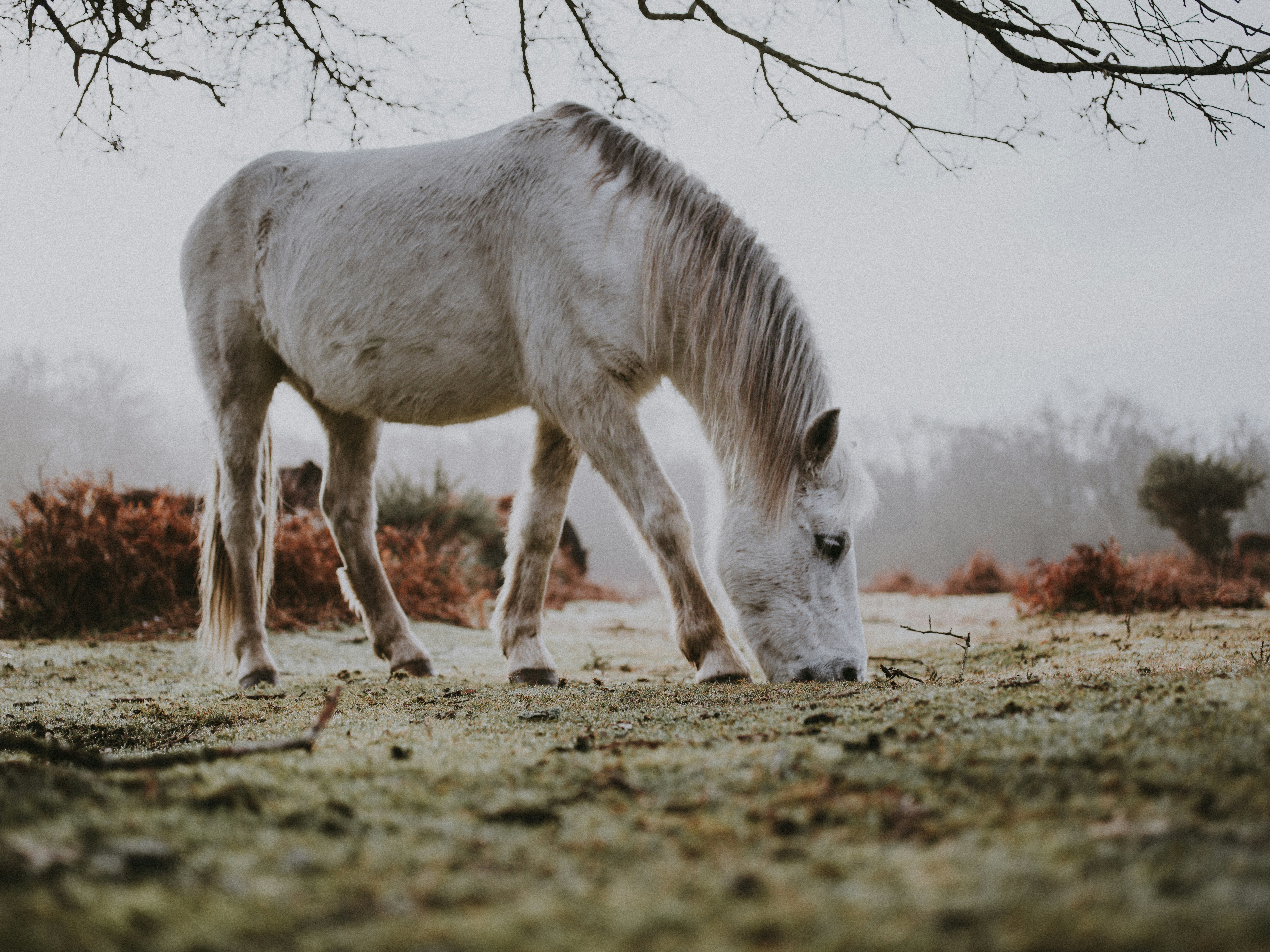 Photo by anniespratt