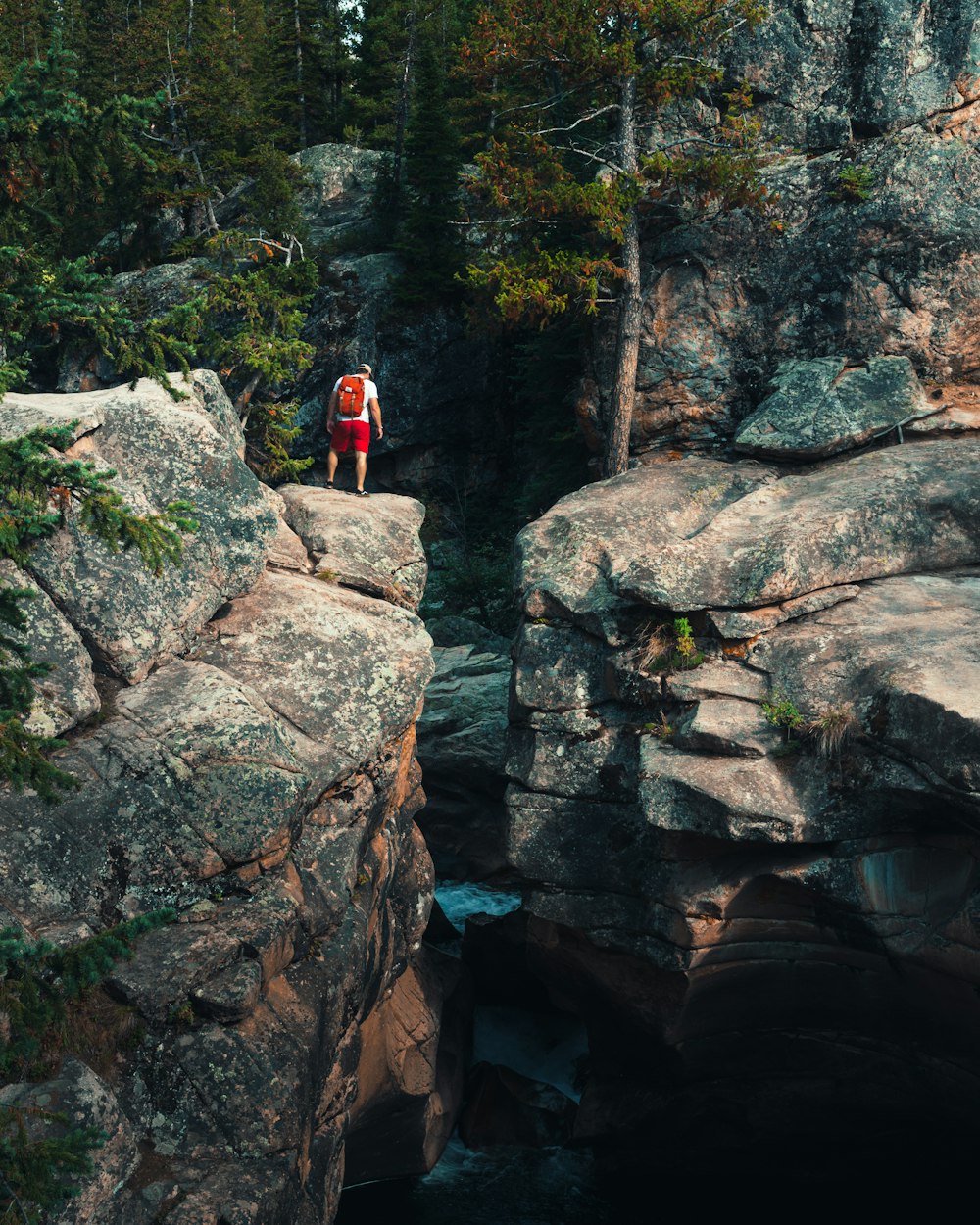 person in white tee shirt standing on rock cliff