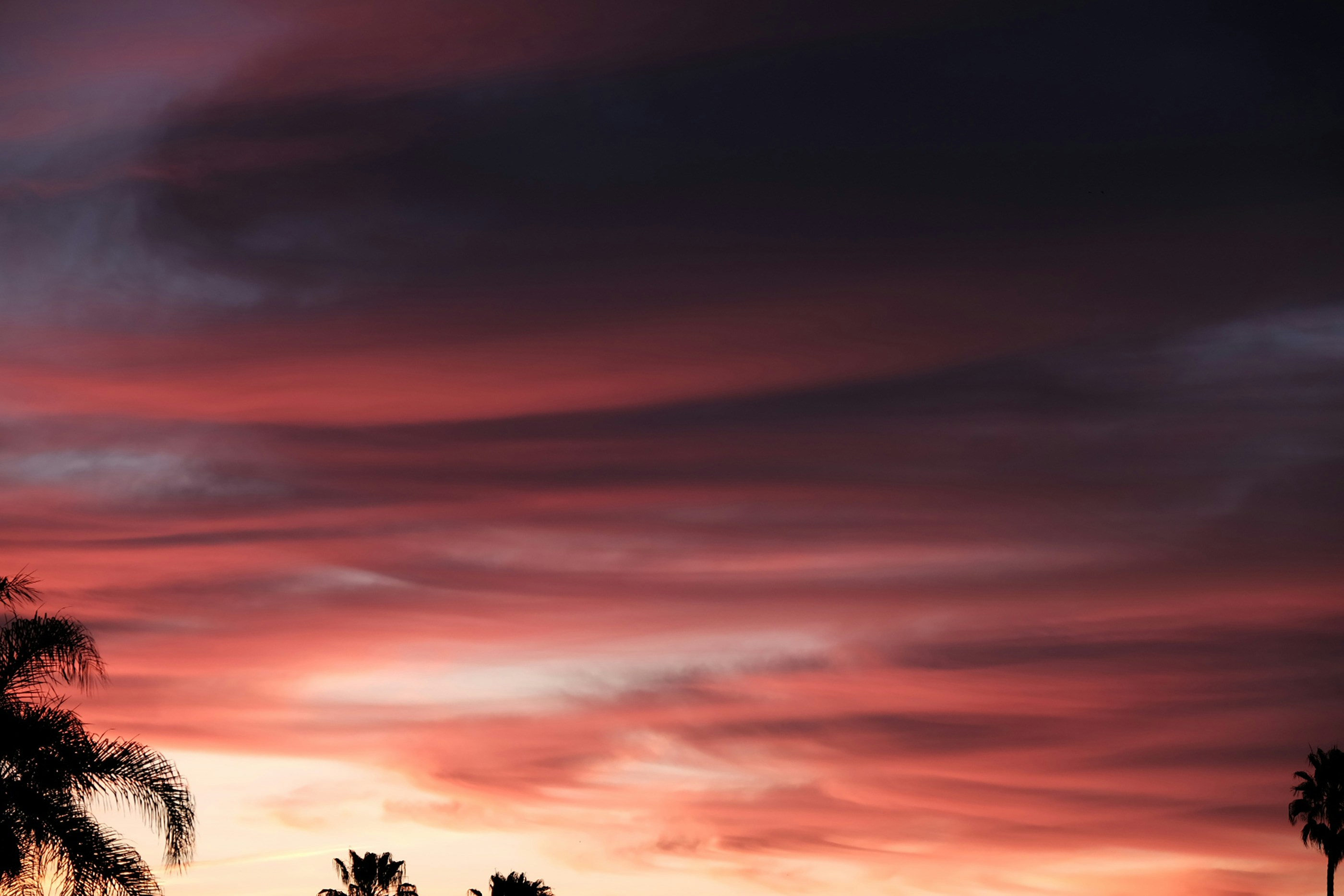 Photo by chelseaaudibert