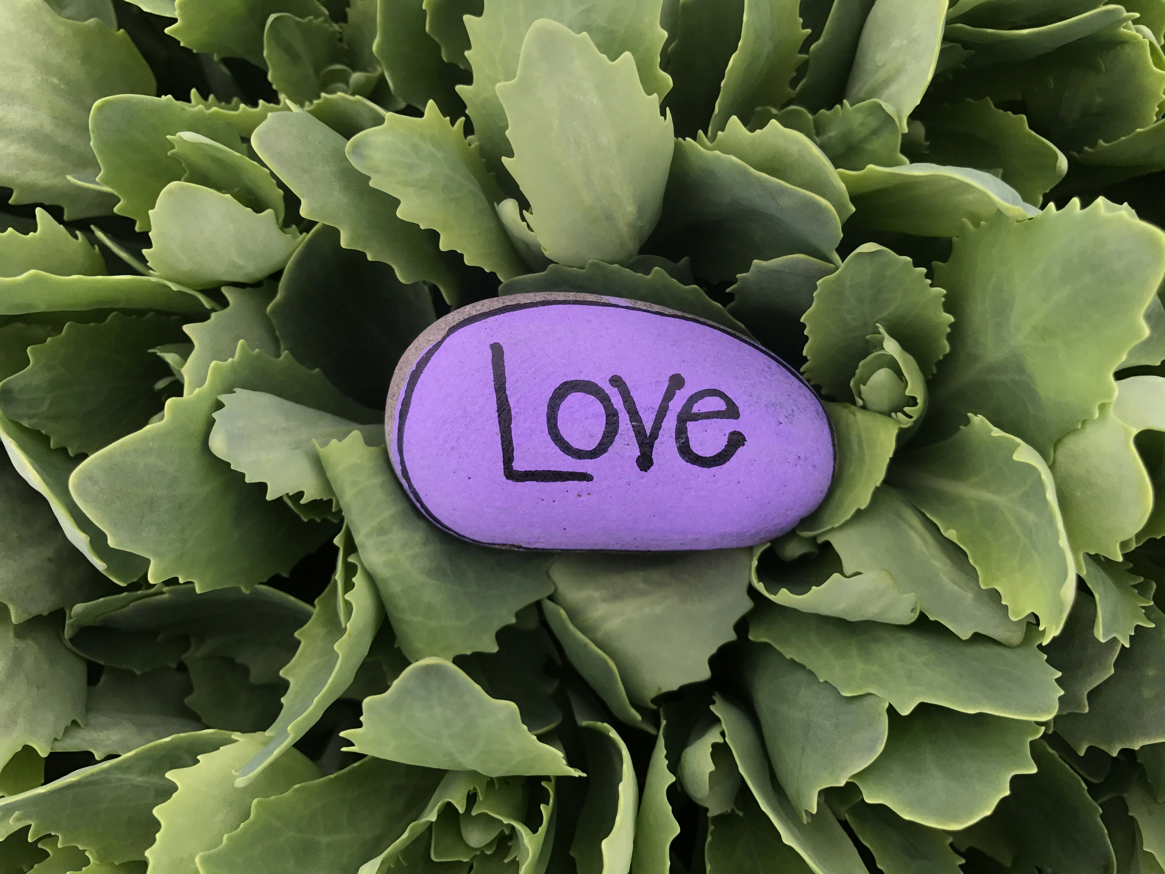 photo 1548720669 06bd46e213b6?ixlib=rb 4.0