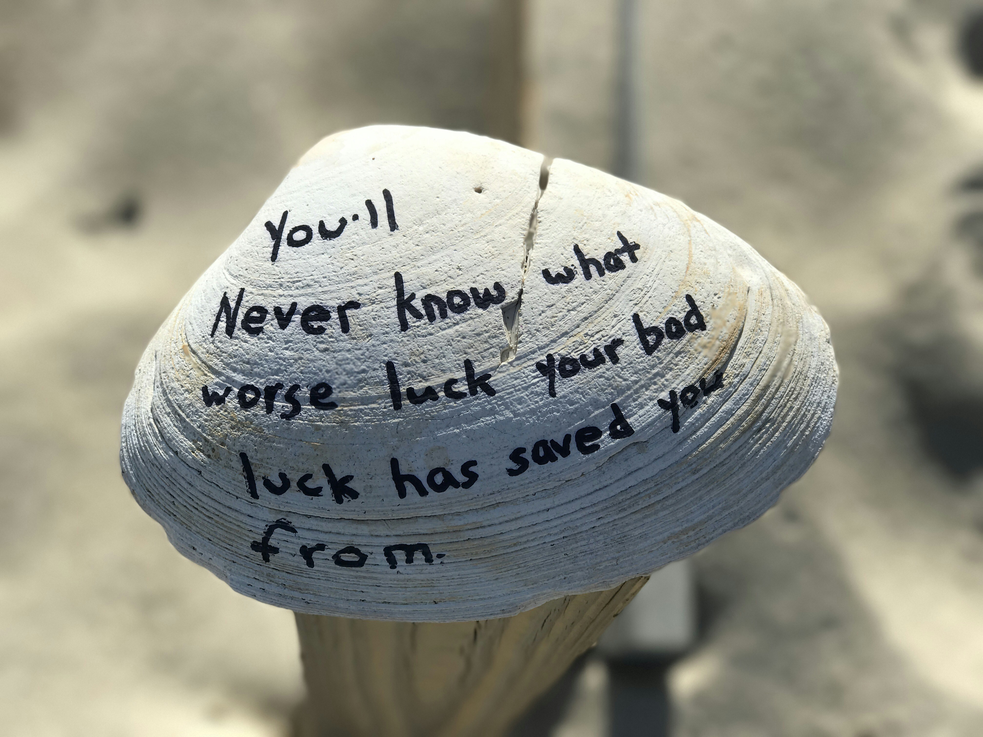 Définition de clam Dictionnaire français