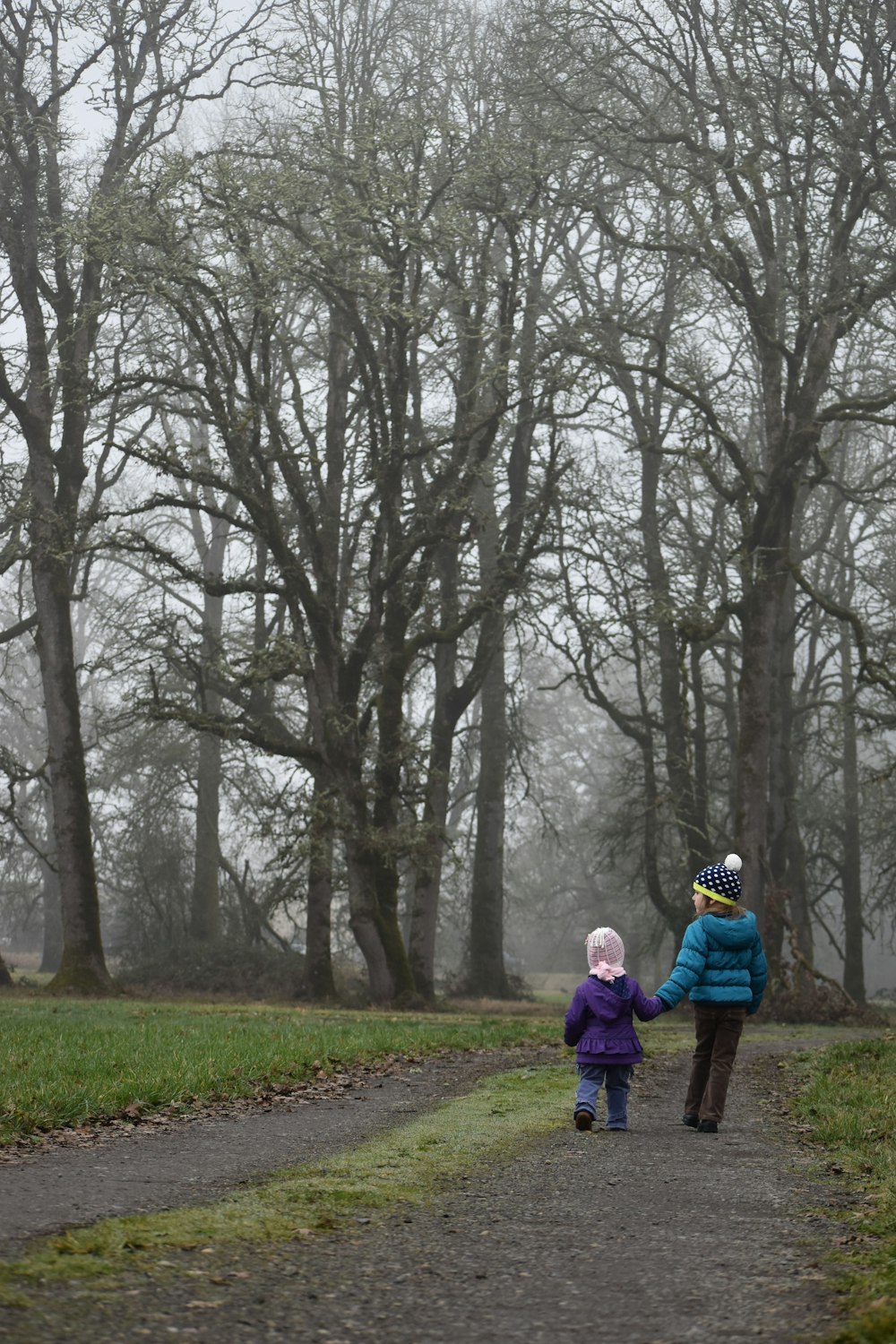 two children surrounded by withered trees