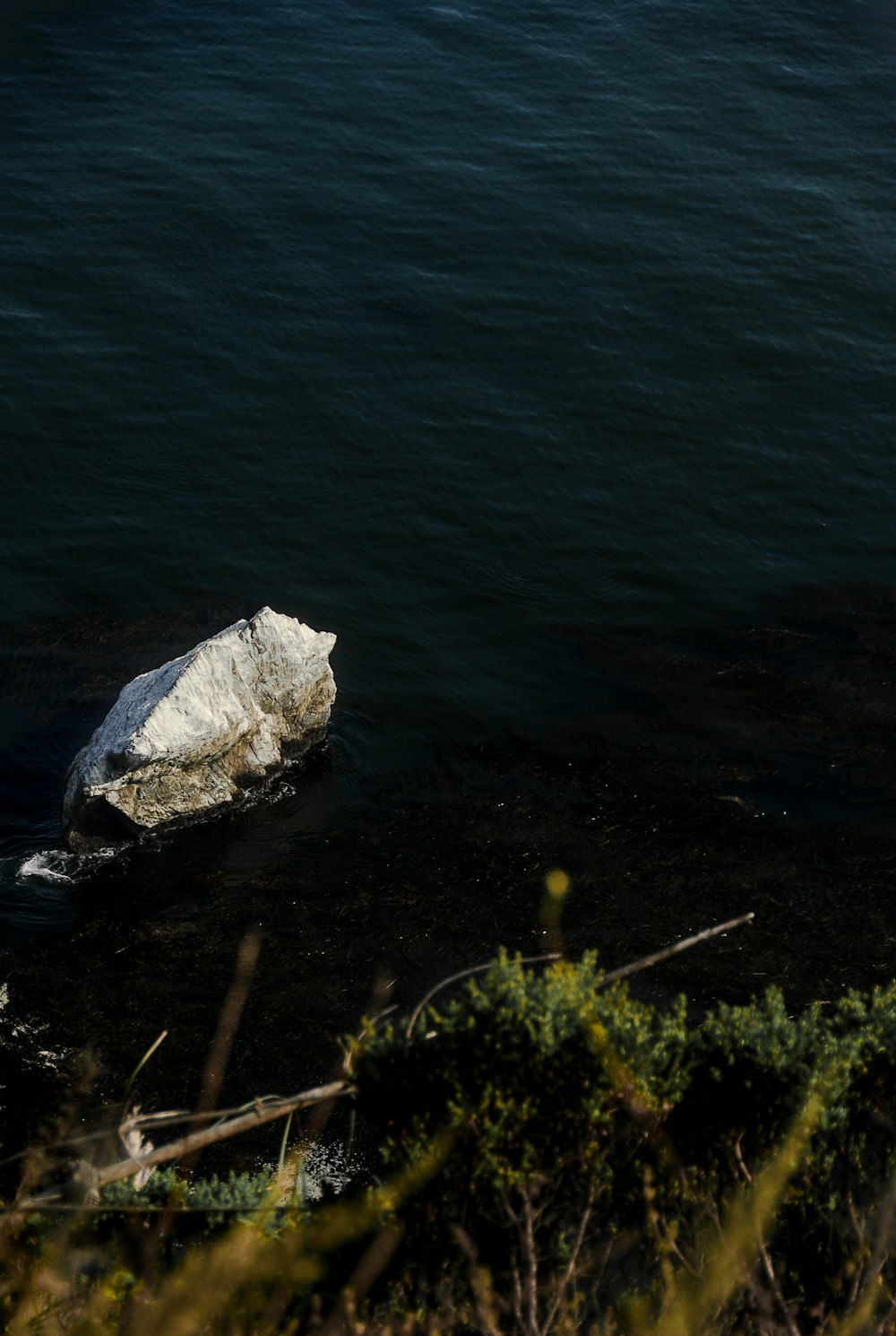 grey rock on water