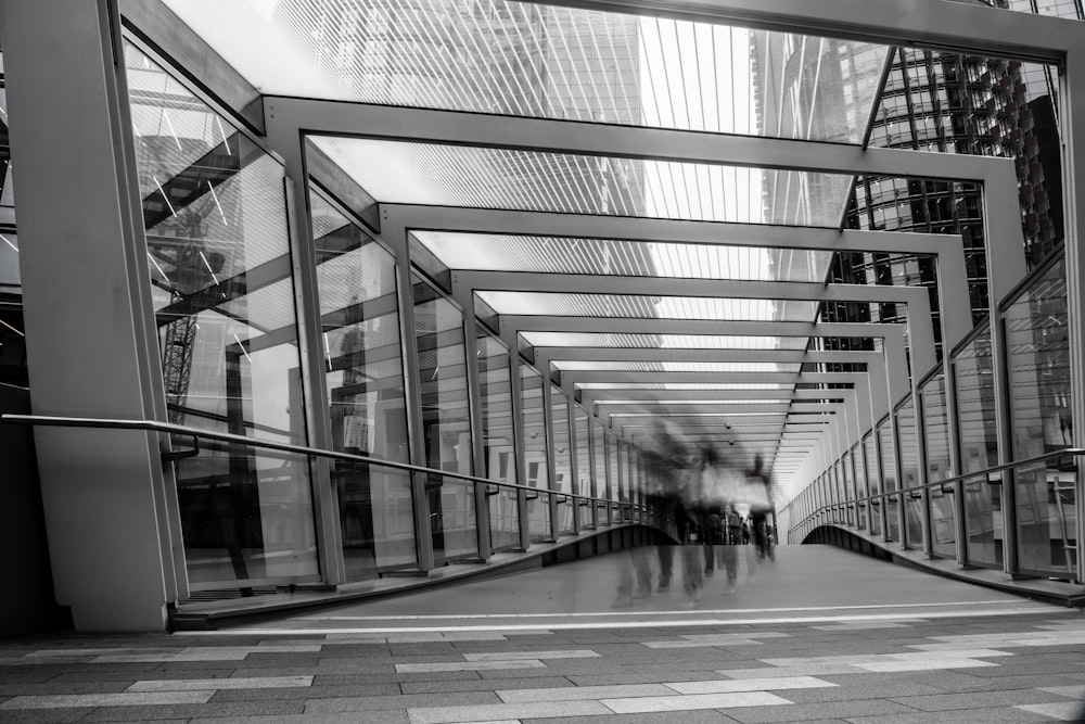 people inside glass panel building