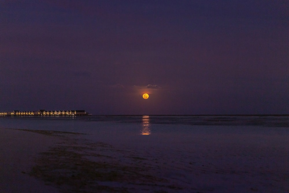 shore during nighttime