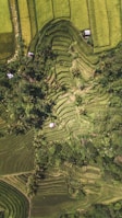 top-view photography of landscape