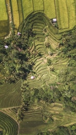 top-view photography of landscape