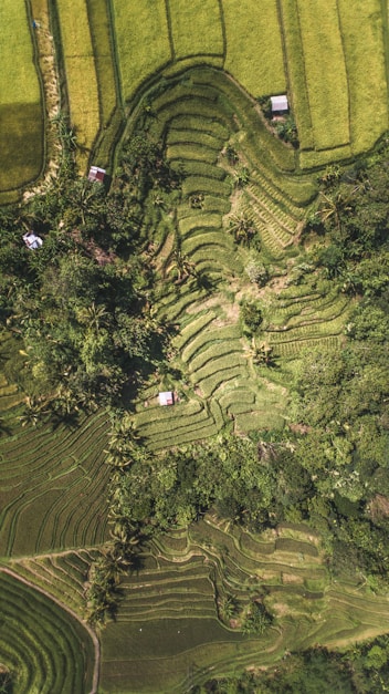 top-view photography of landscape