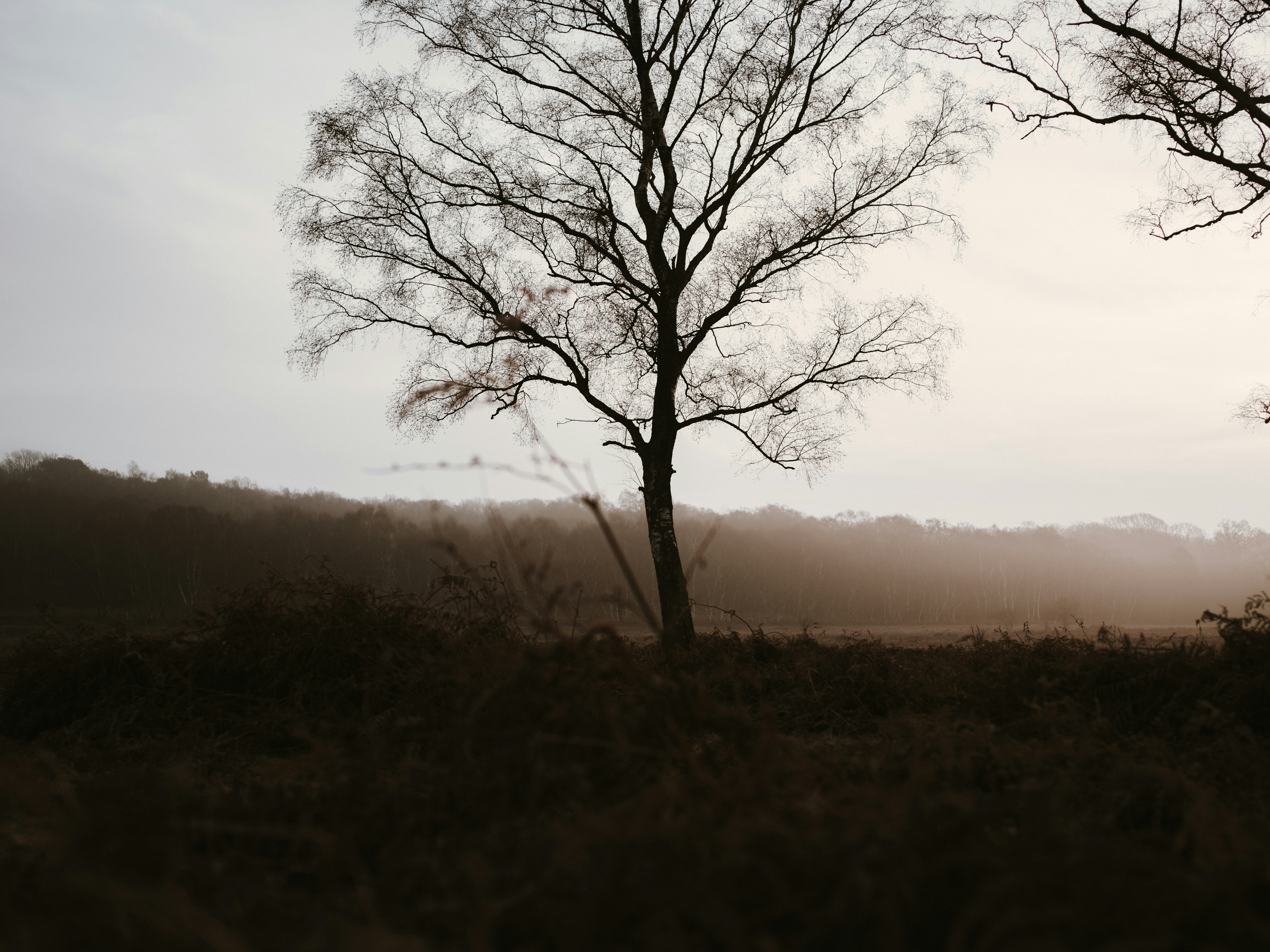 Photo by anniespratt