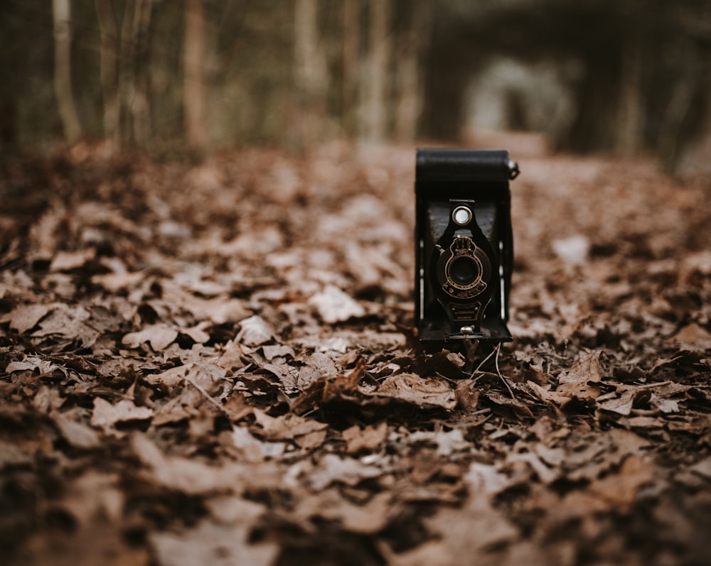 selective focus photography of black metal tool on brown dry leaves