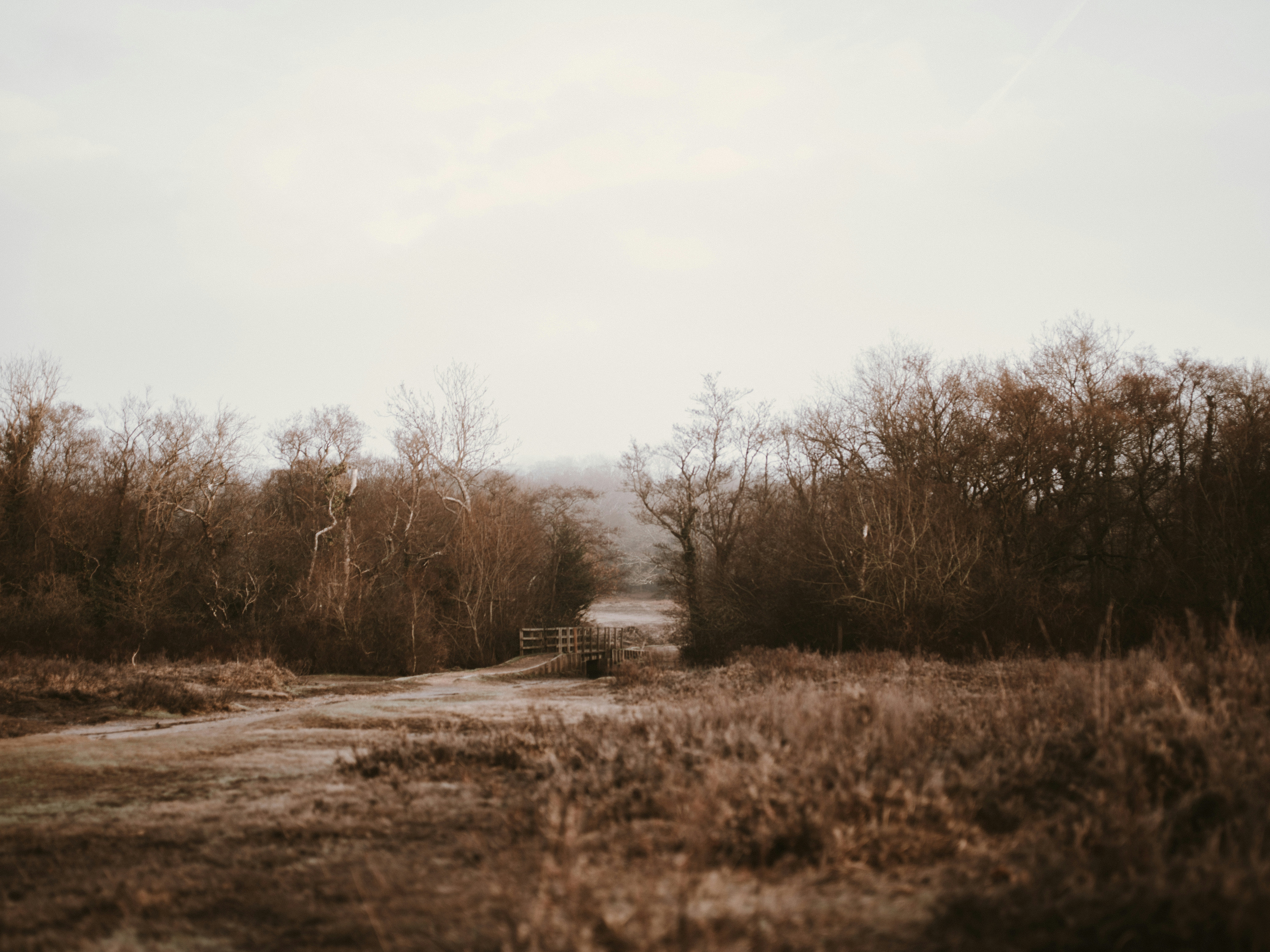 Photo by anniespratt