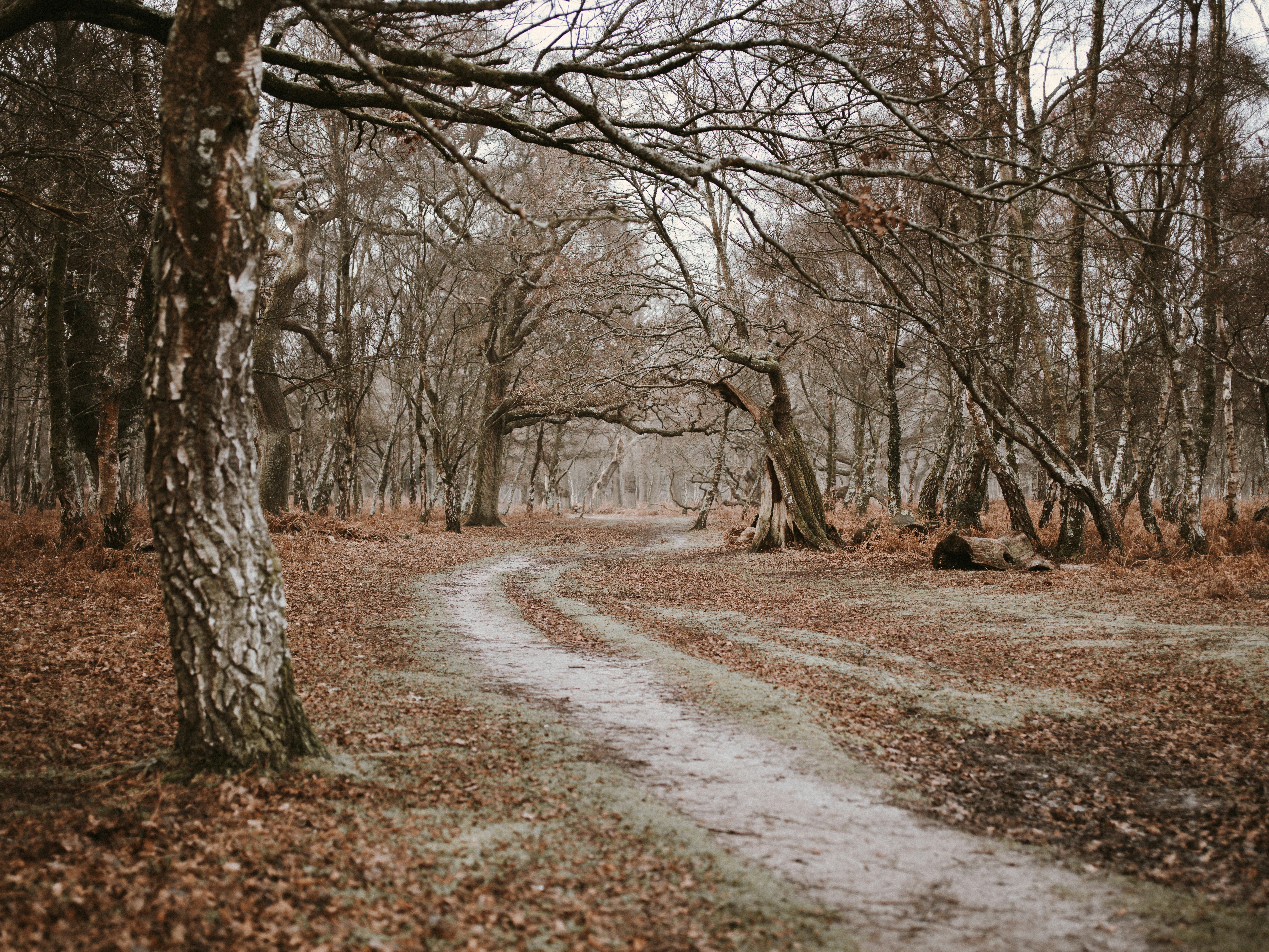 Photo by anniespratt