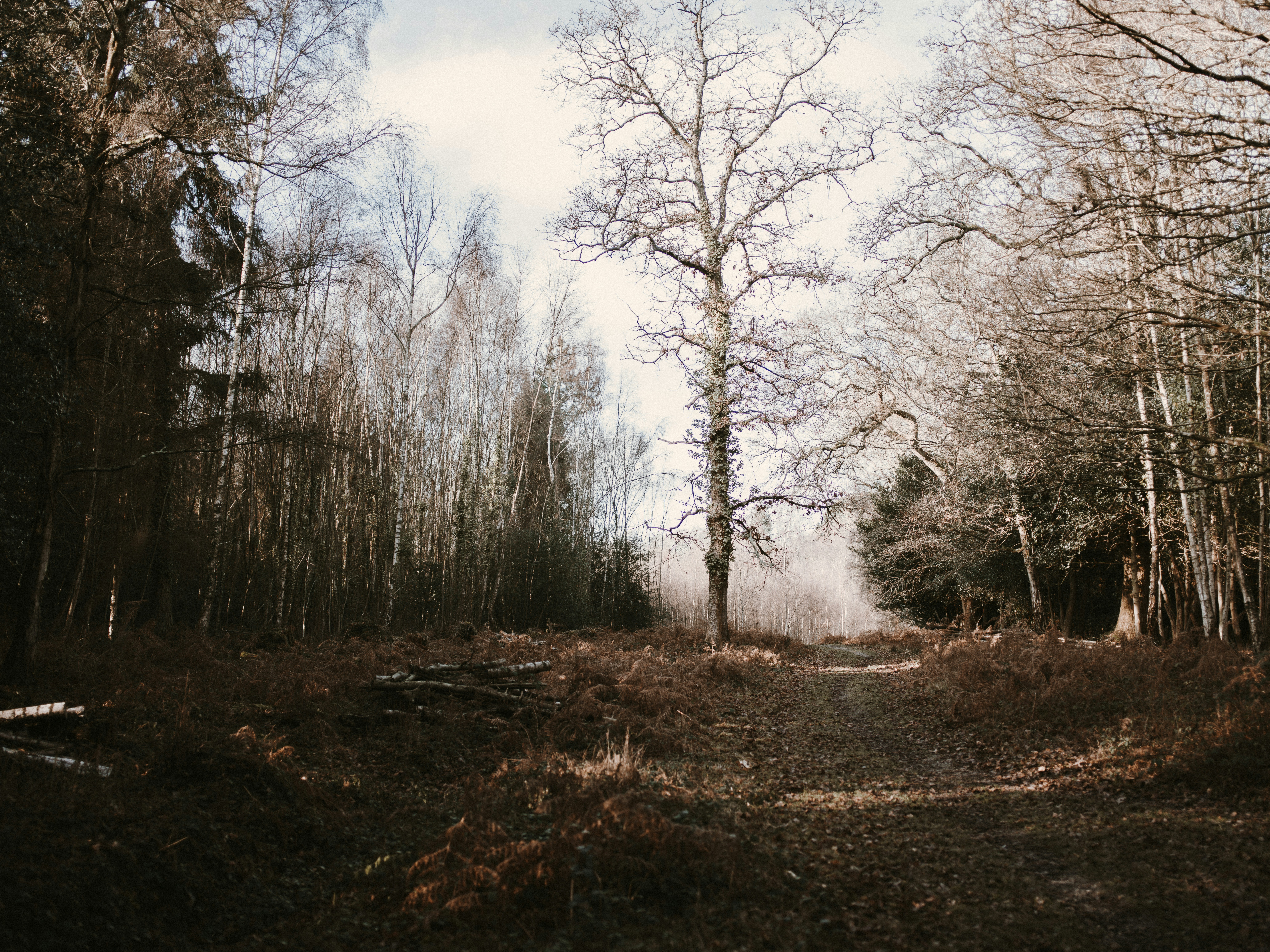 Photo by anniespratt