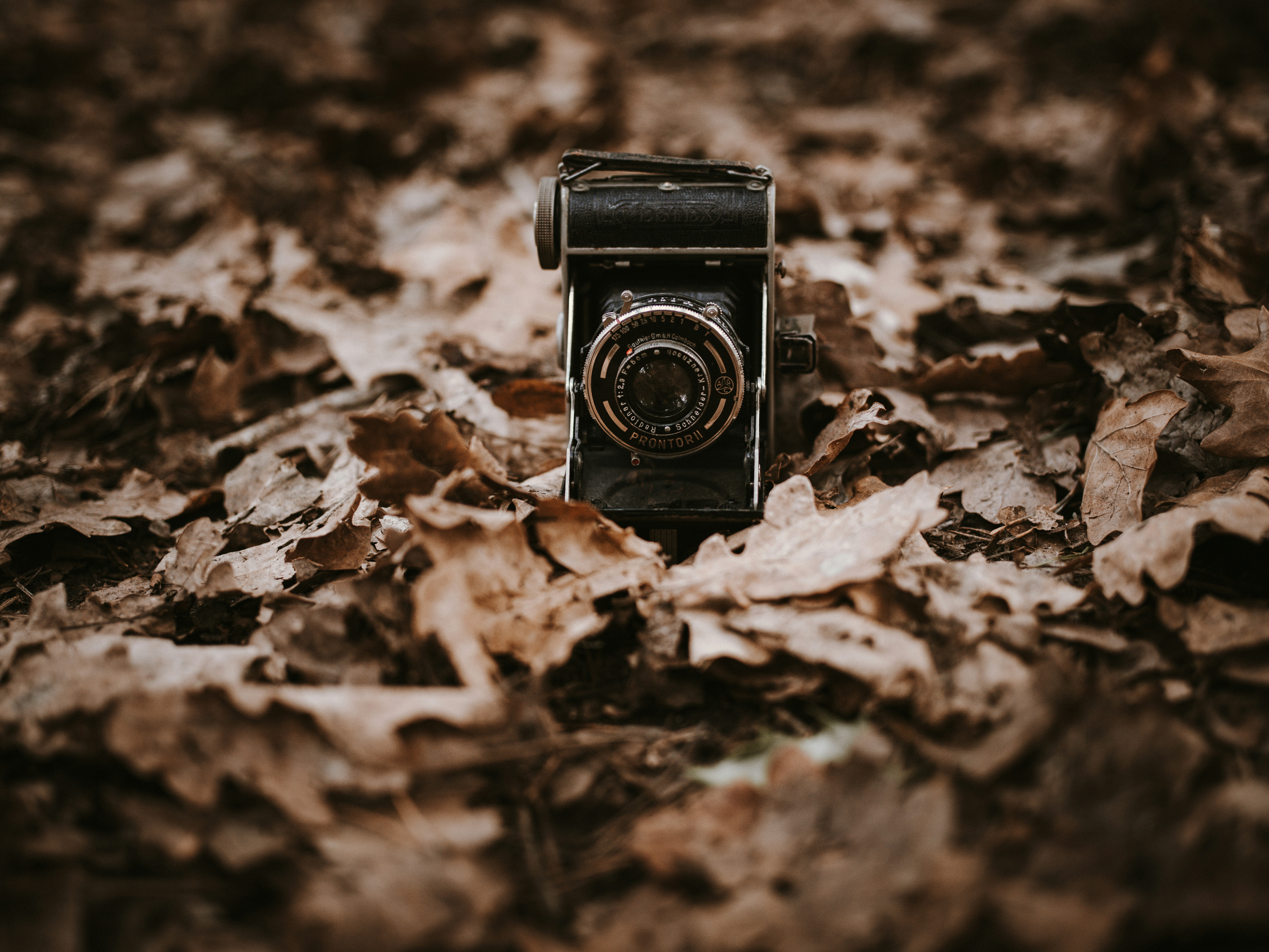 Photo by anniespratt