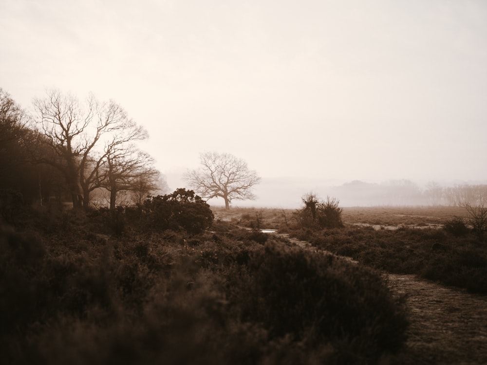 empty road under foggy sky