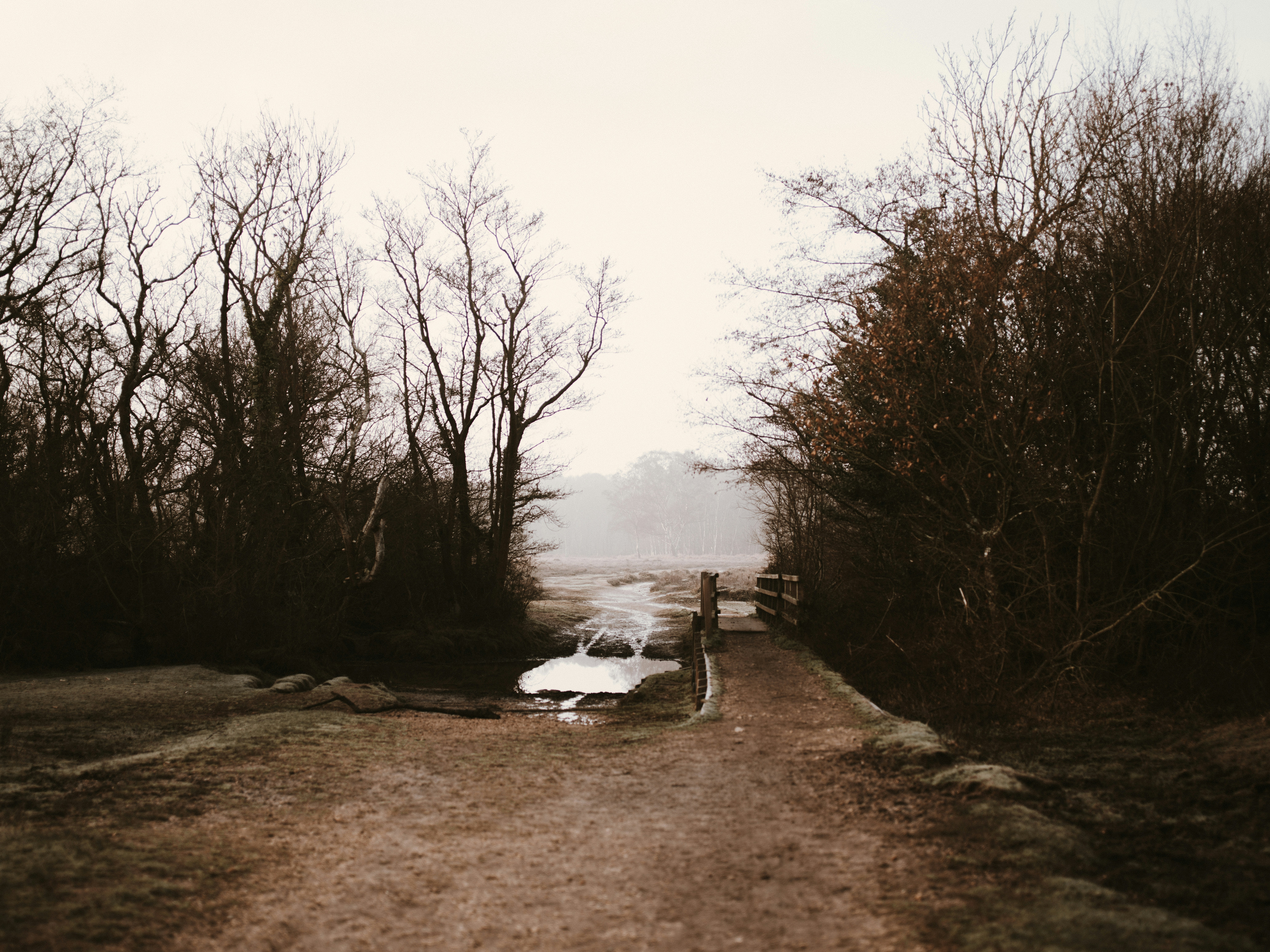 Photo by anniespratt