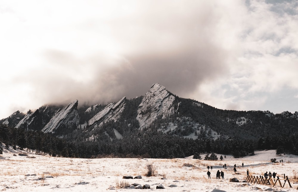 Montaña y suelo cubiertos de nieve