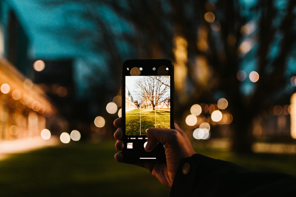 person taking picture of brown trees