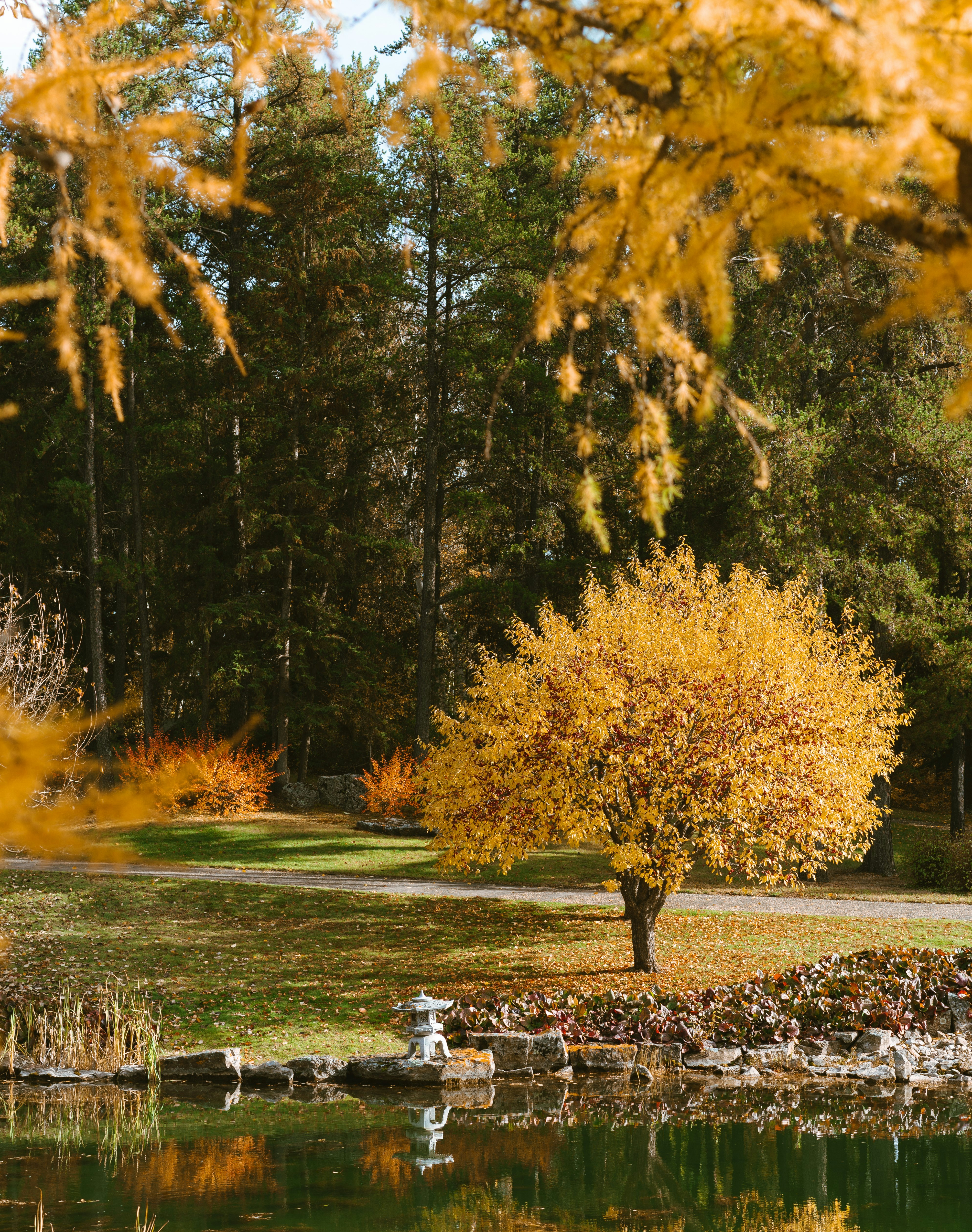 See umgeben von Bäumen