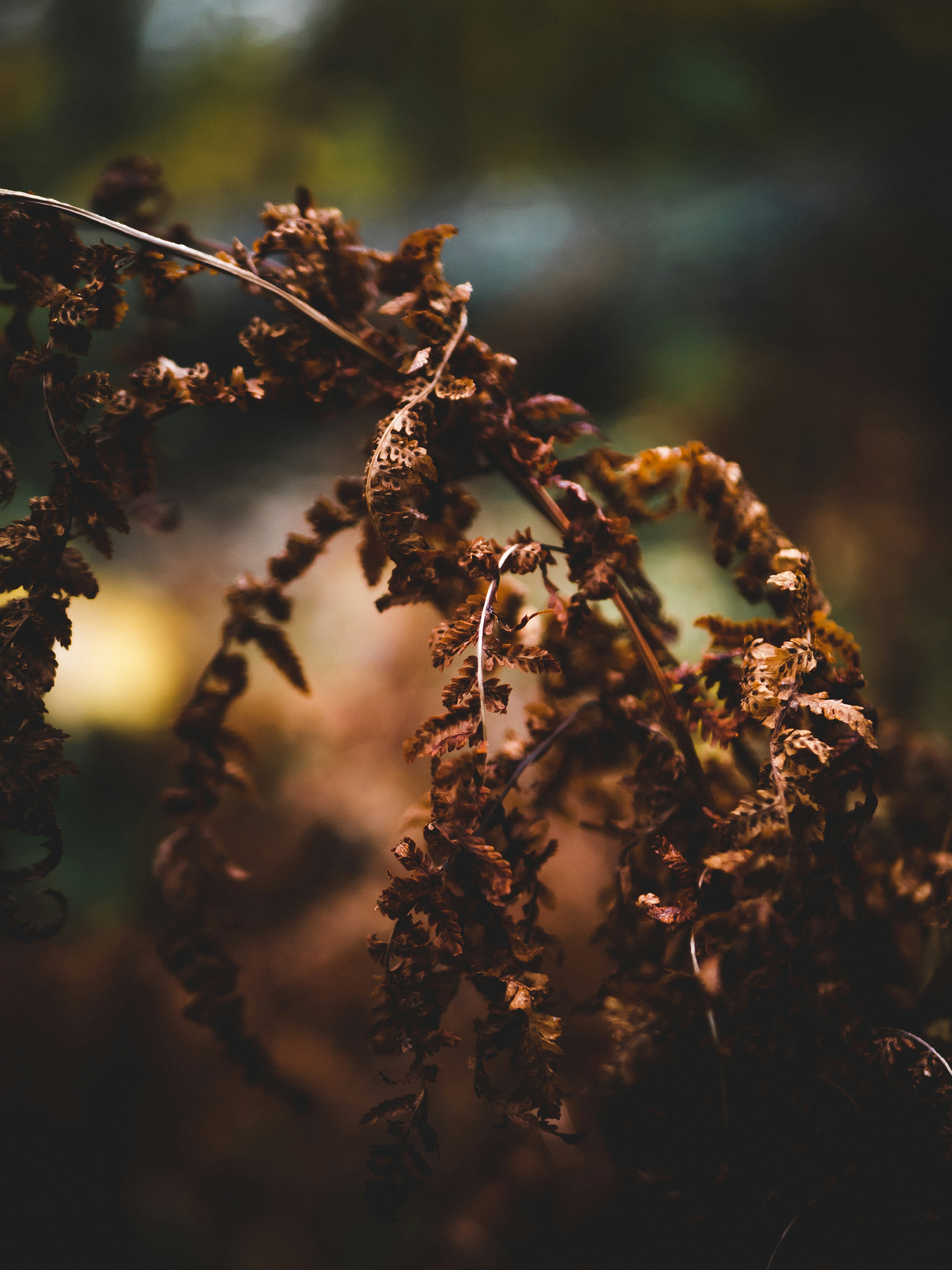 Photo by jyrkisorjonen