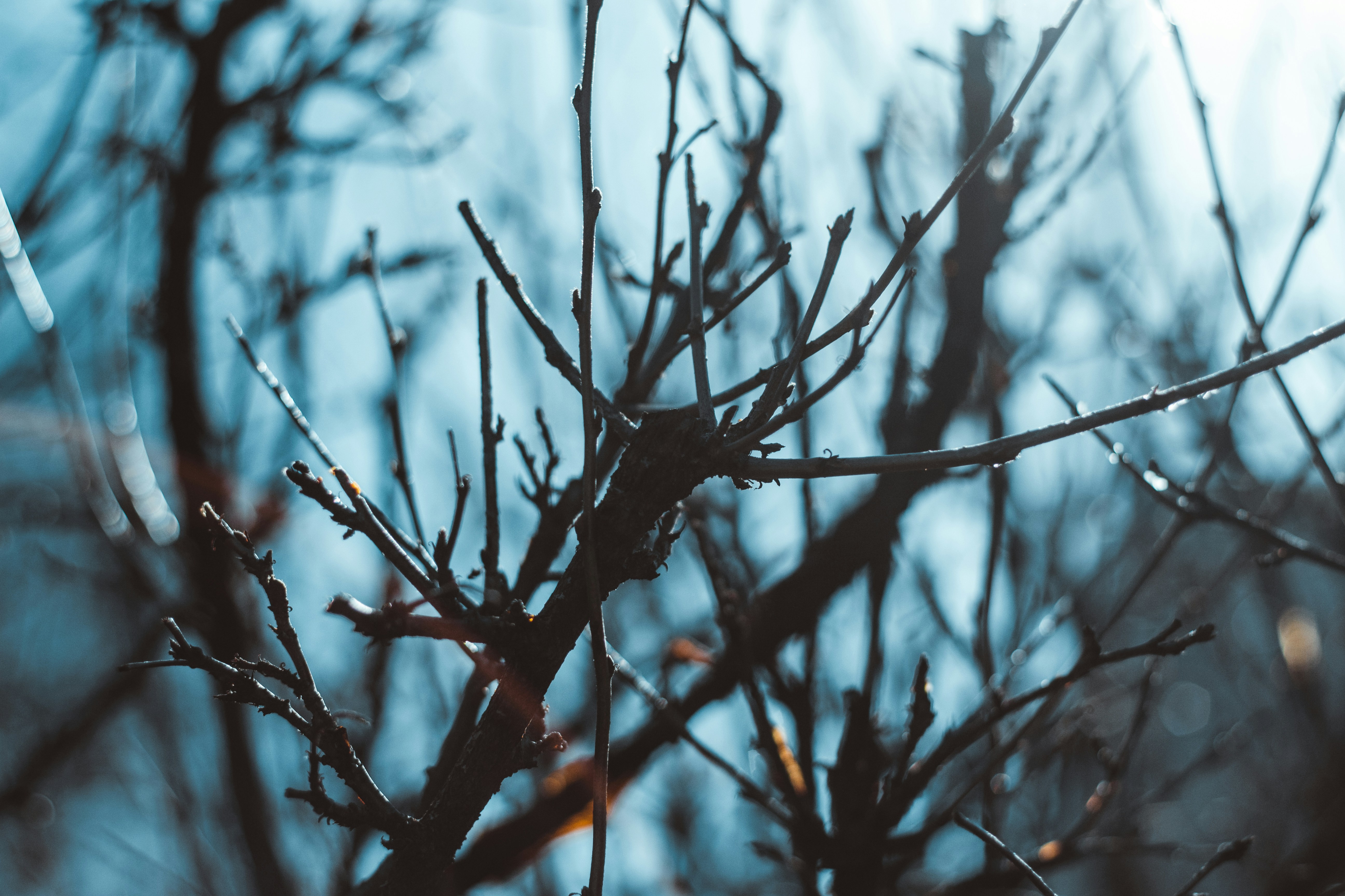 Photo by jyrkisorjonen