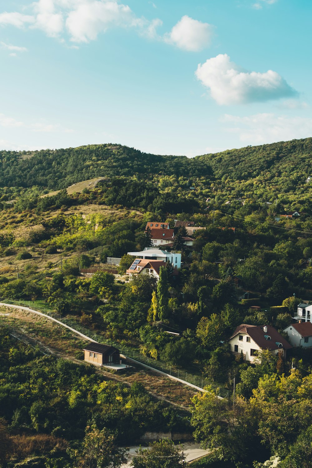 aerial photography of white and brown house surrounded by trees under white sky