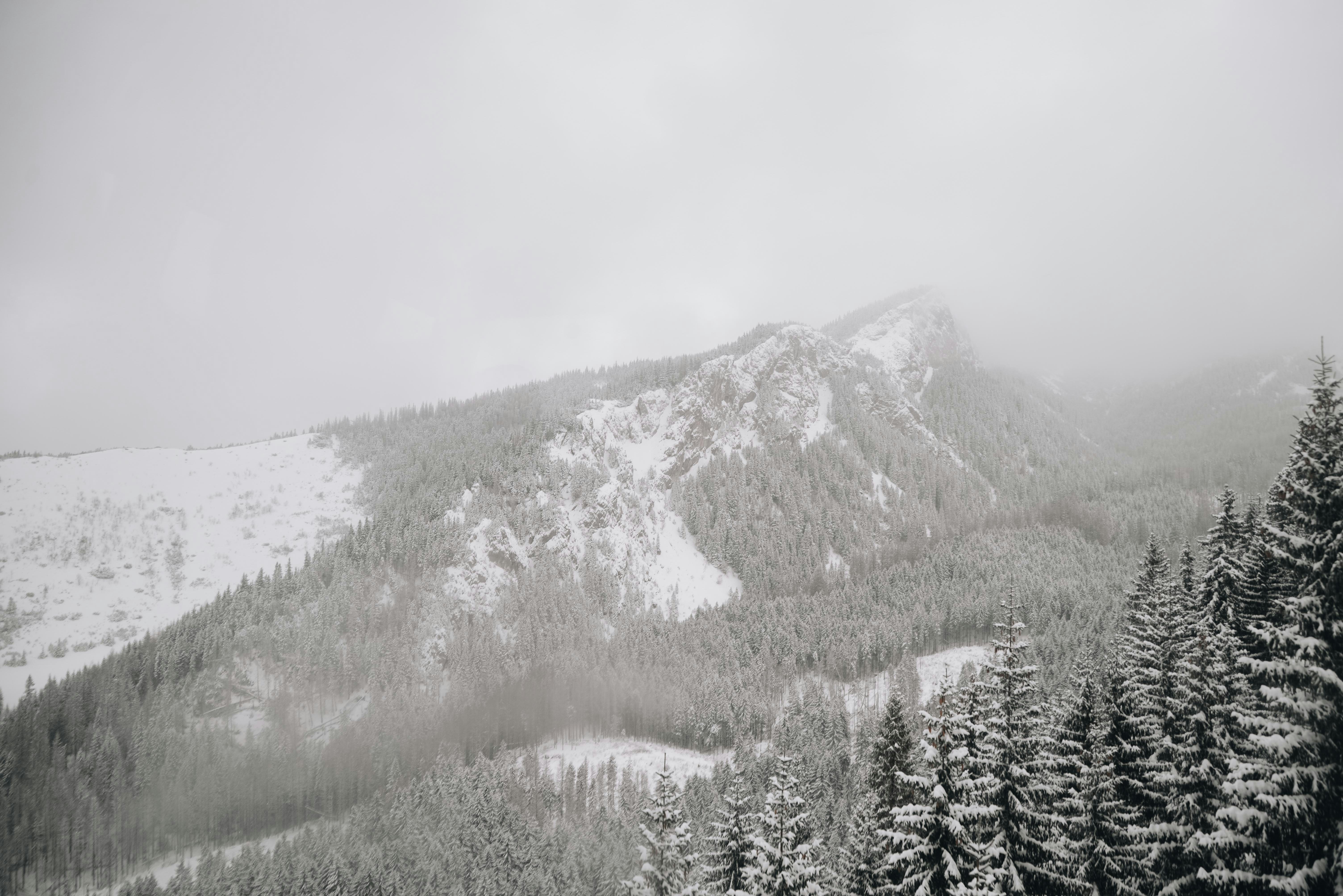 Photo by chelseamurphy