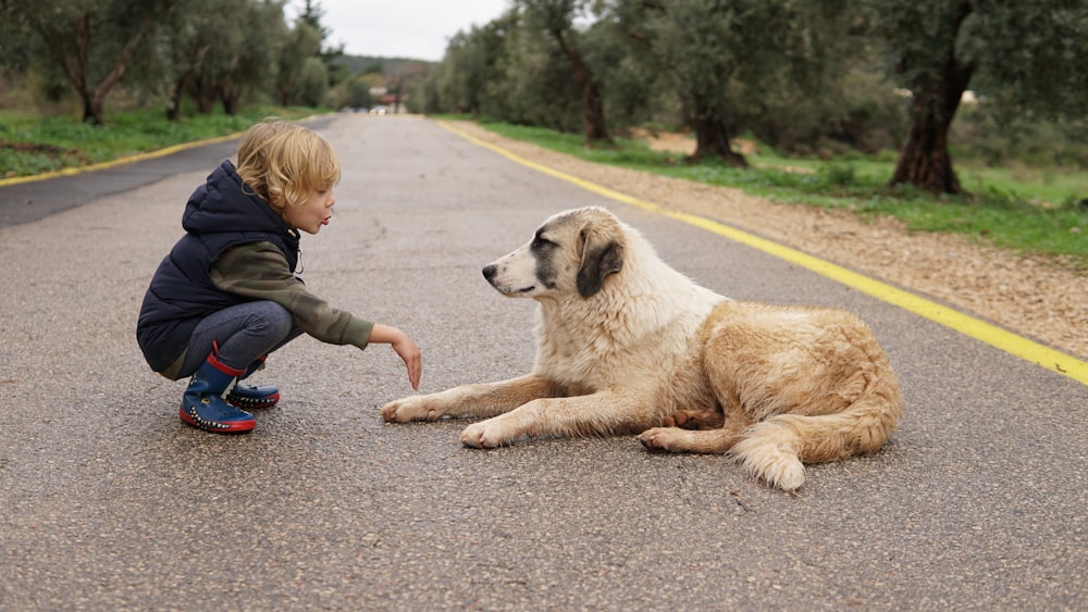 child crouching in front of lying dog on road during daytime