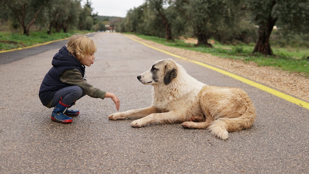 bambino accovacciato davanti al cane sdraiato sulla strada durante il giorno