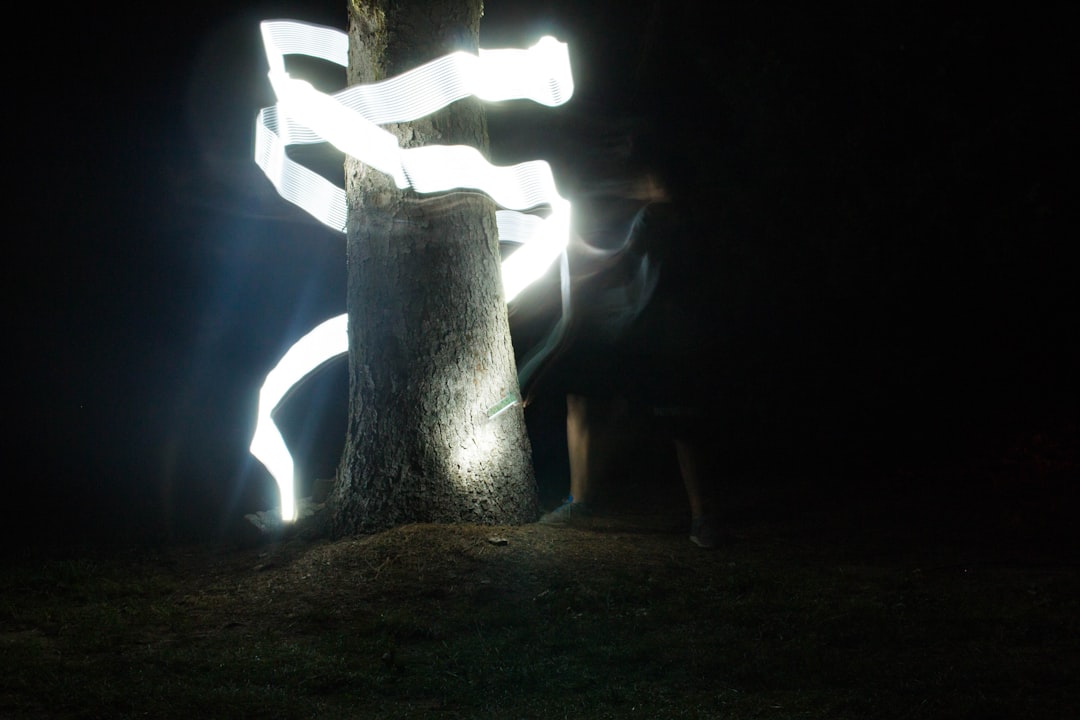 man playing lights at tree timelapse photography