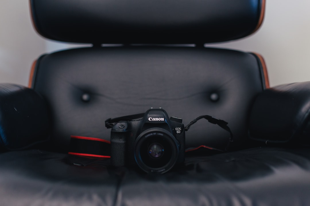 black Canon bridge camera on sofa chair
