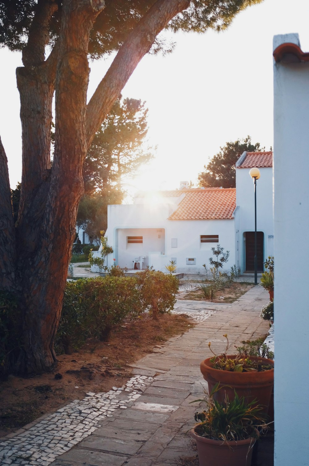 white concrete 1-storey house