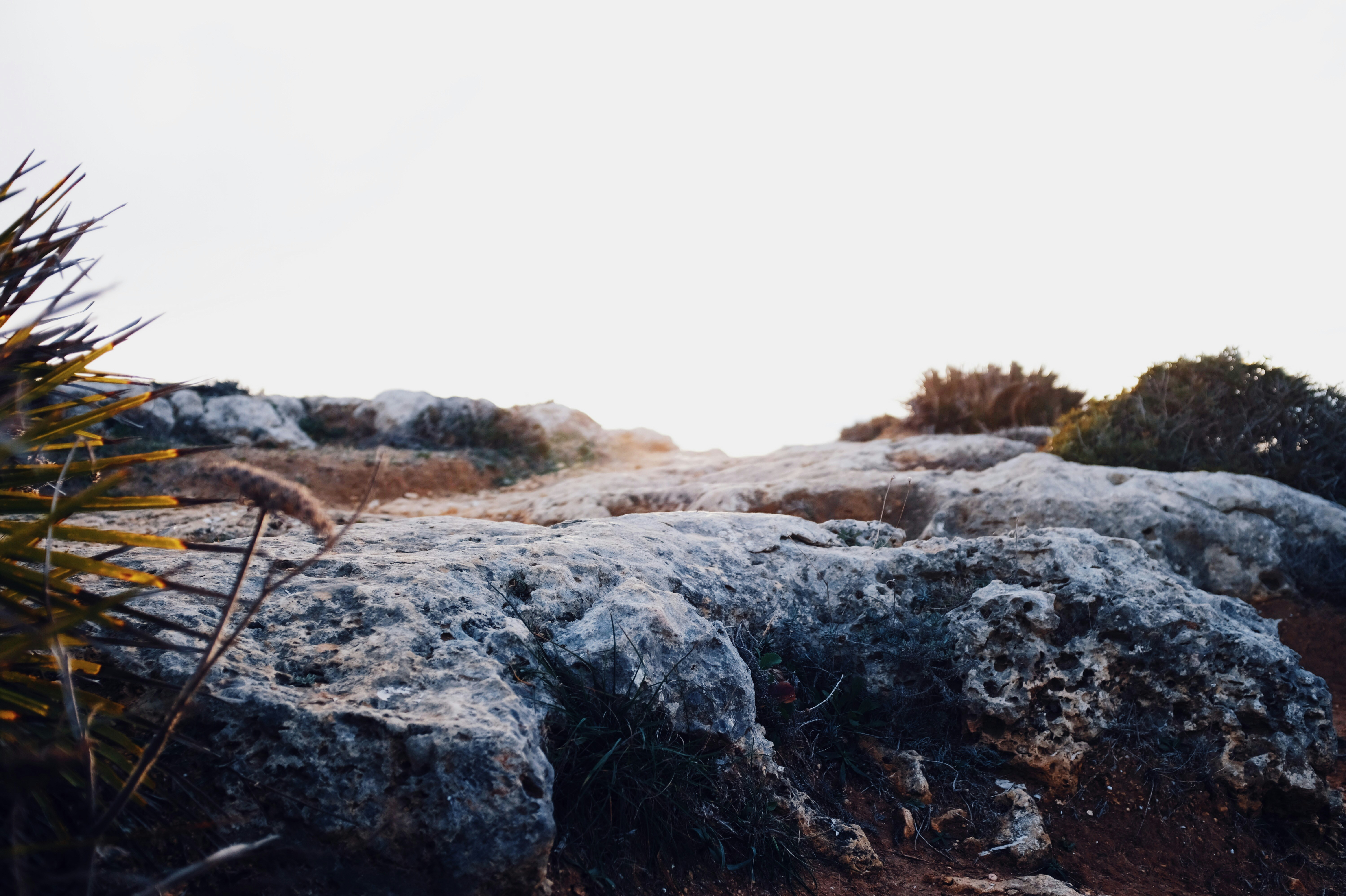 Photo by merlin_amadeus_